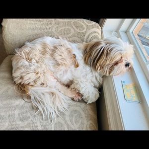 Meet your Posher, Jade